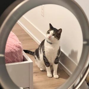 Meet your Posher, Mingming